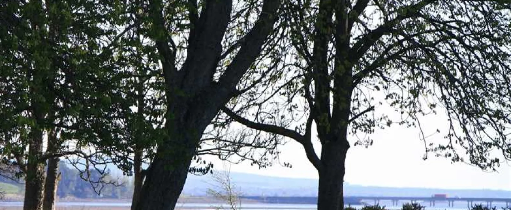 Dingwall Camping and Caravanning Club Site