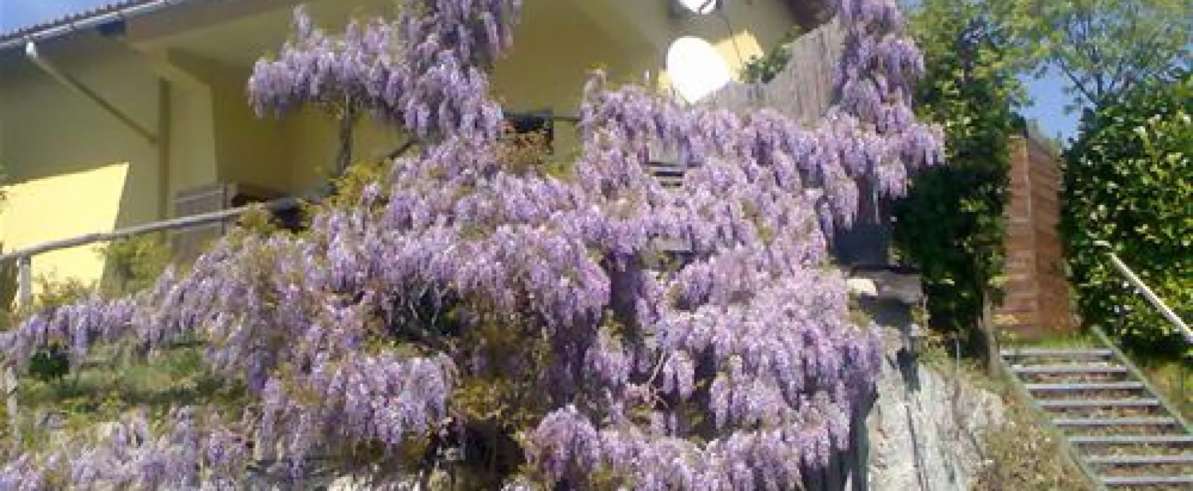 Campeggio Naturista Costalunga