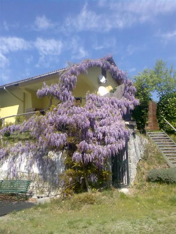 Campeggio Naturista Costalunga