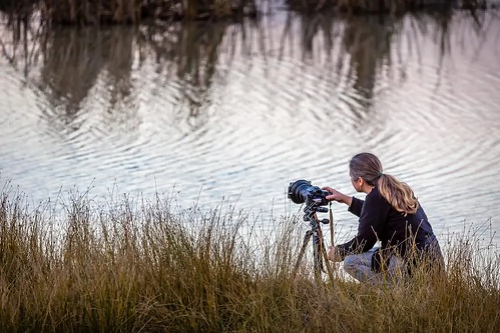 Greenways Landing Campground