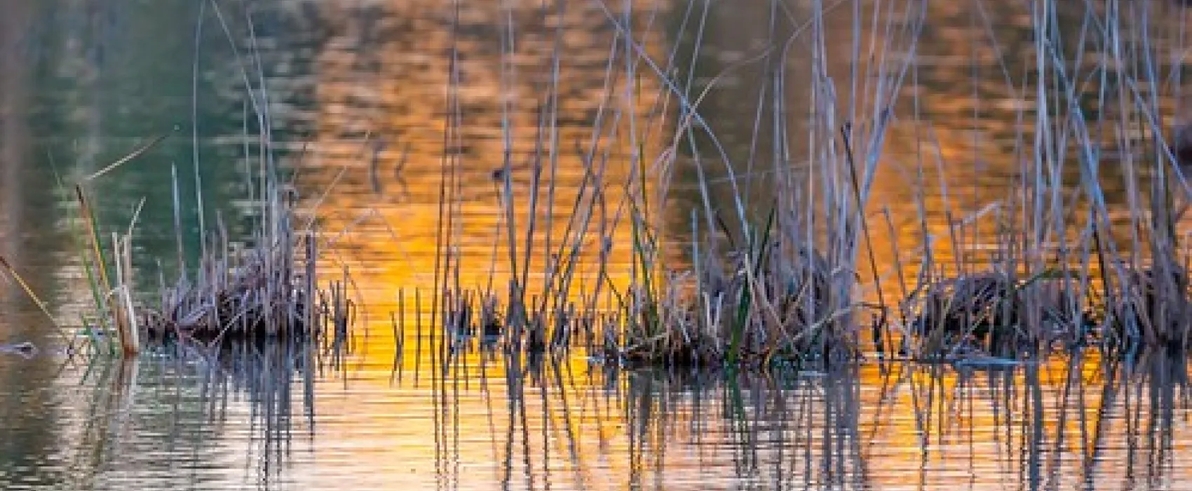 Greenways Landing Campground