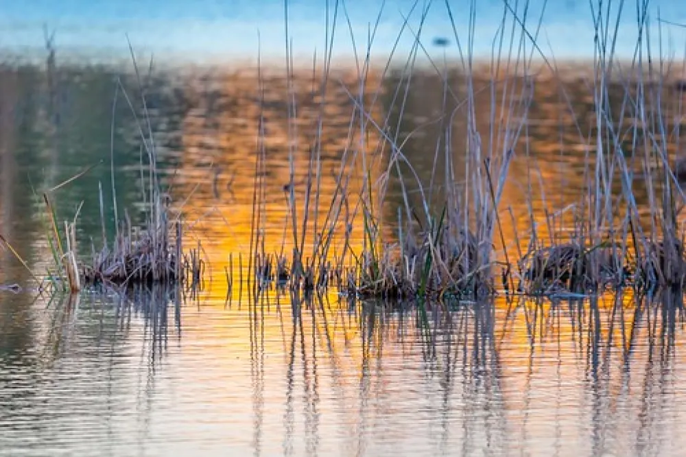 Greenways Landing Campground