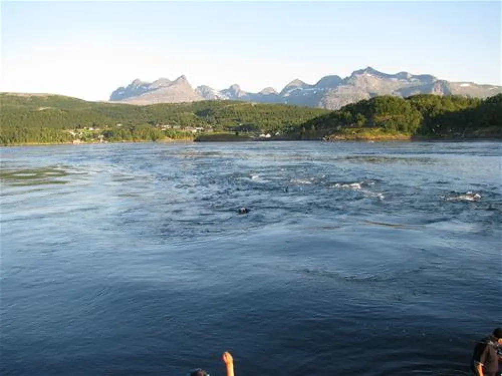 Pluscamp Saltstraumen