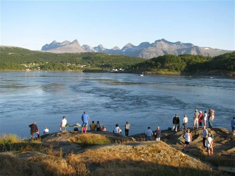 Pluscamp Saltstraumen
