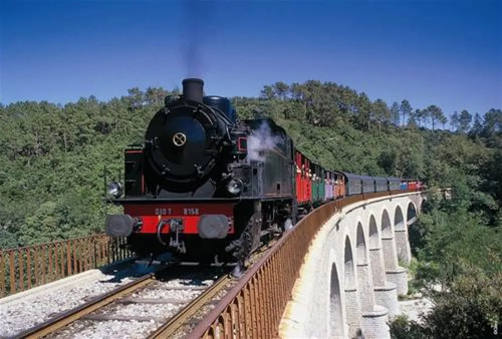 Camping Mas De La Cam  