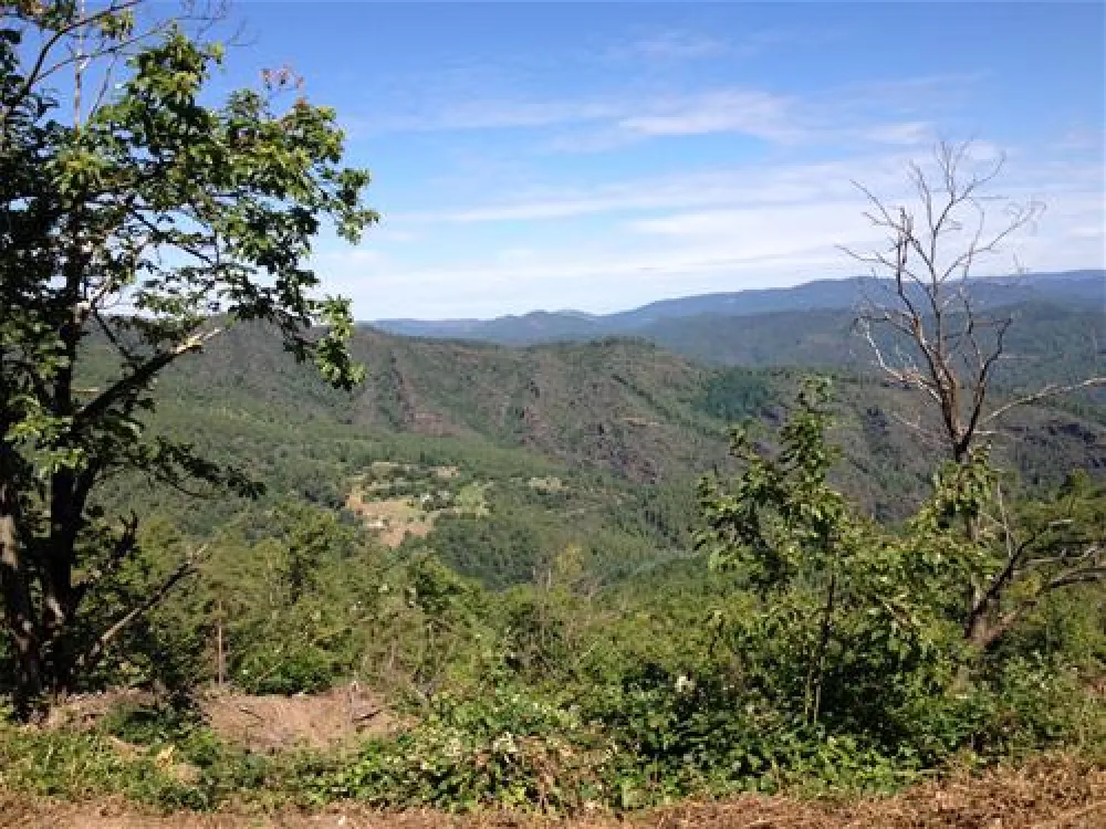 Camping Mas De La Cam  