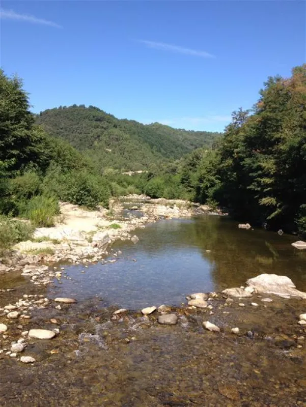 Camping Mas De La Cam  