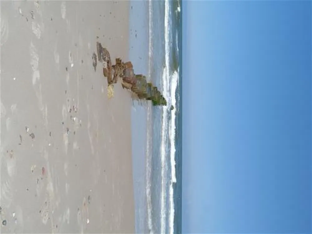 Camping nr 78 BALTIC