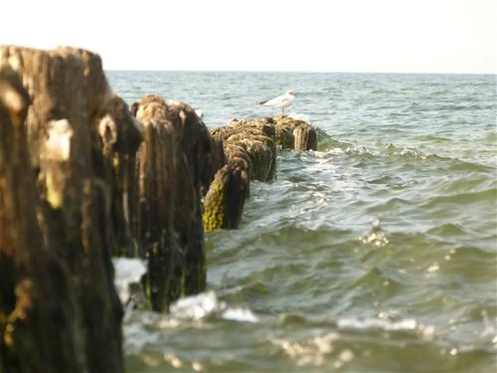 Camping nr 78 BALTIC