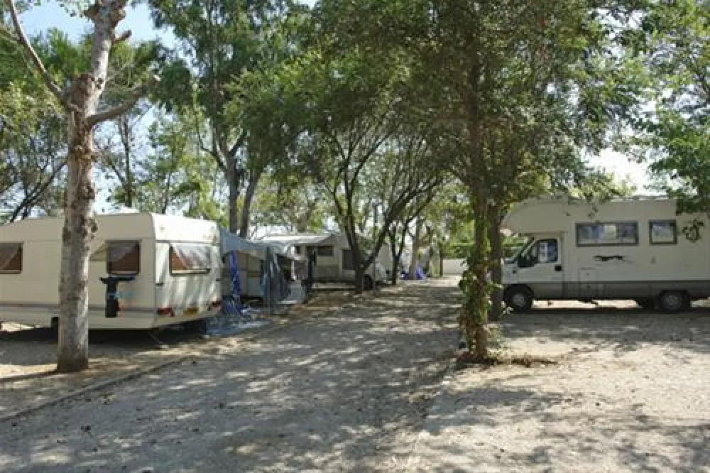 Camping Coll-vert