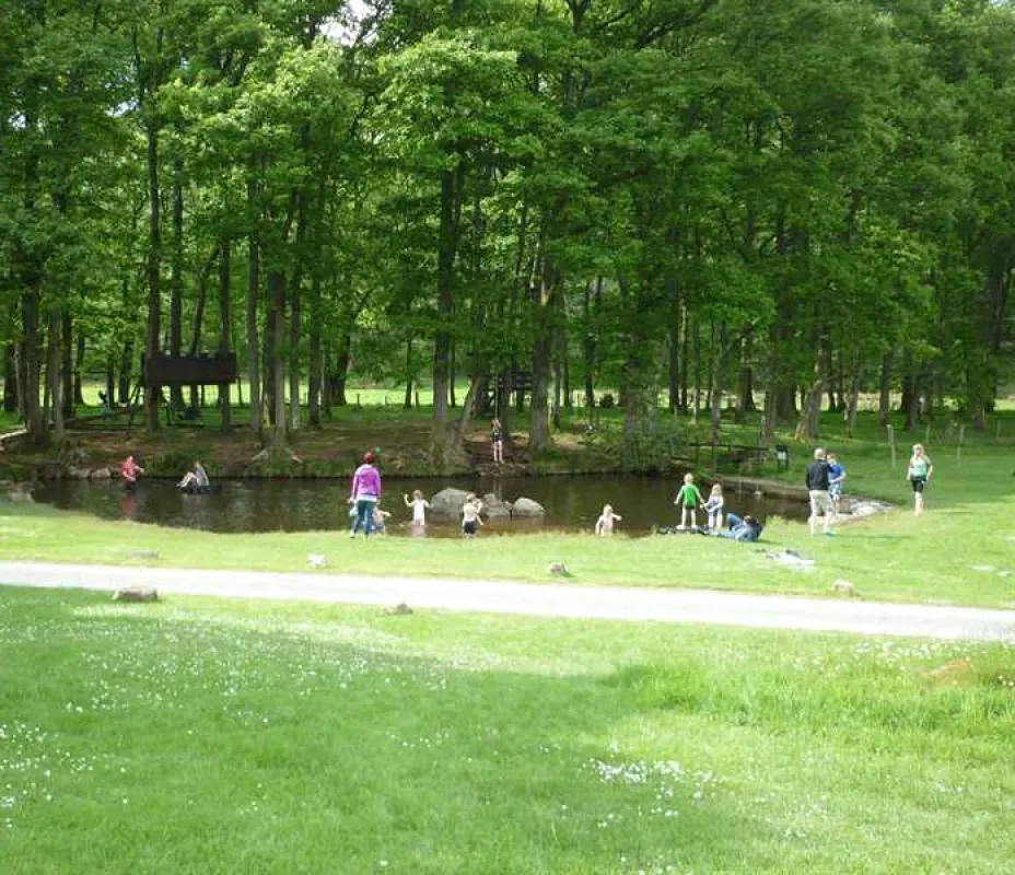 Fisherground Campsite