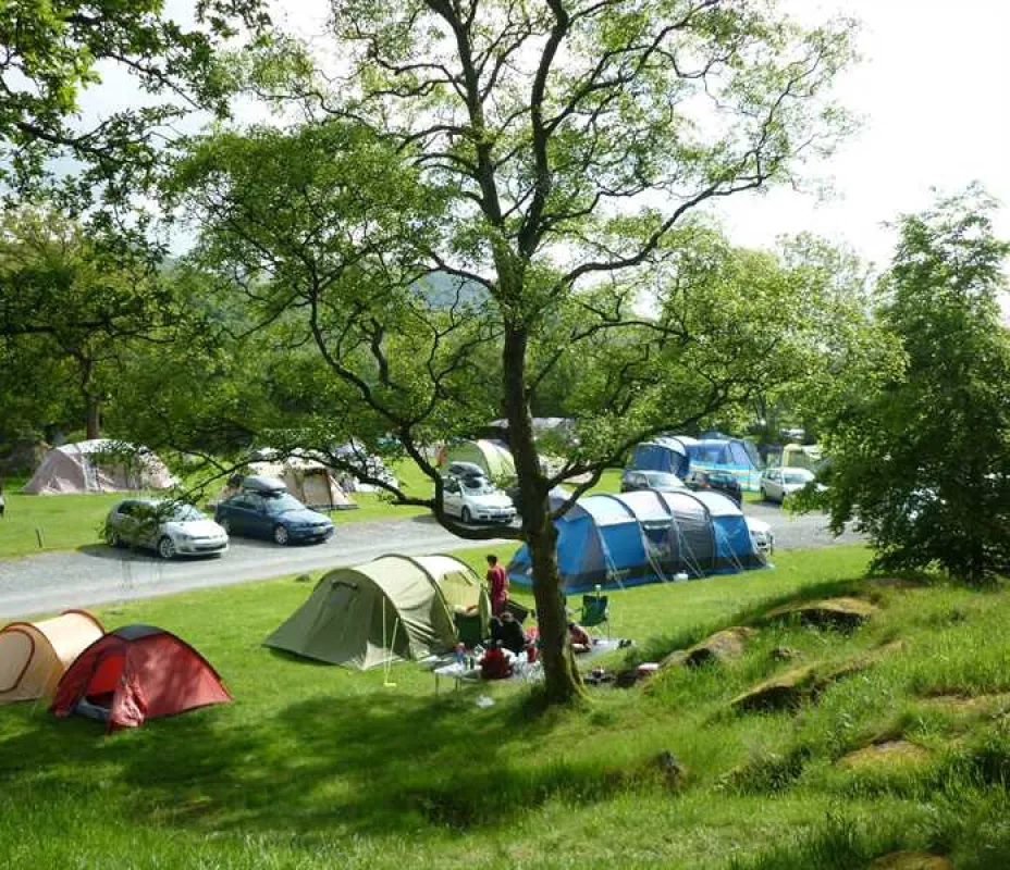 Fisherground Campsite