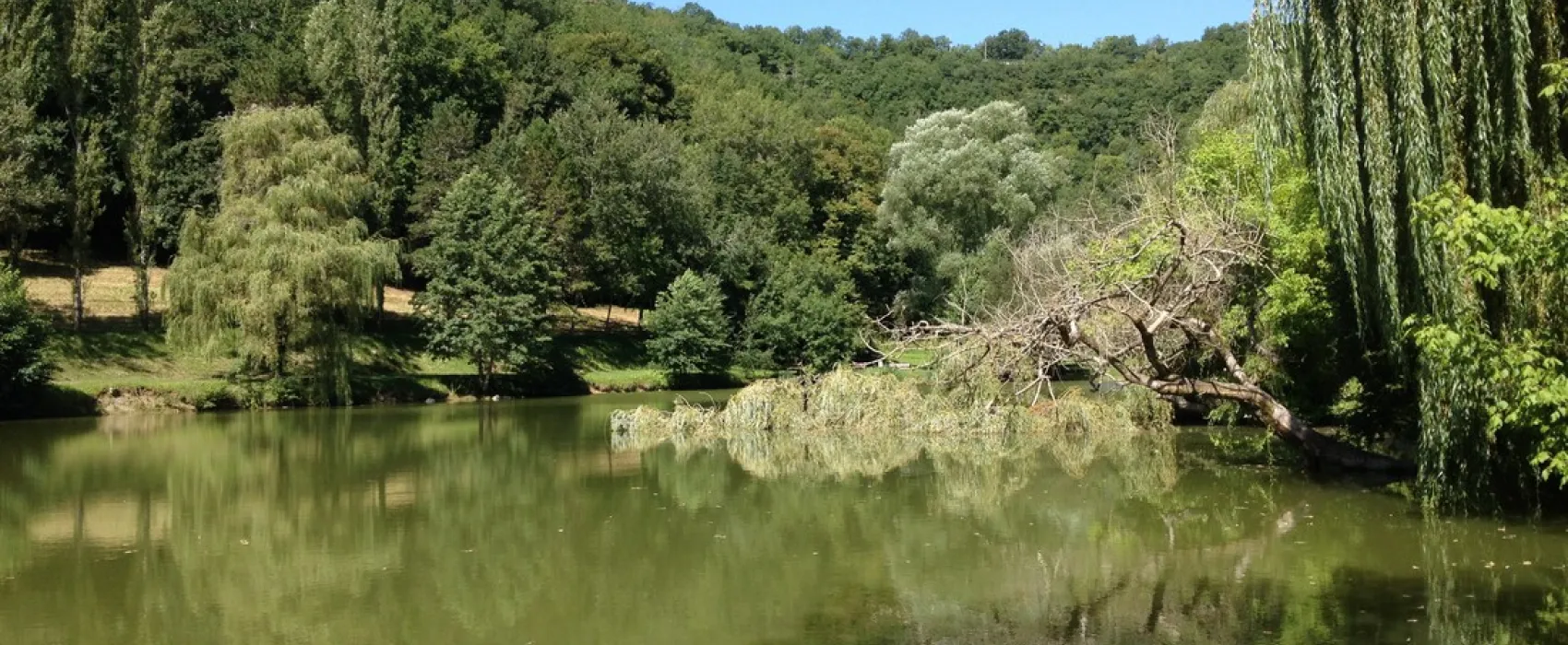 Camping de la Bonnette  