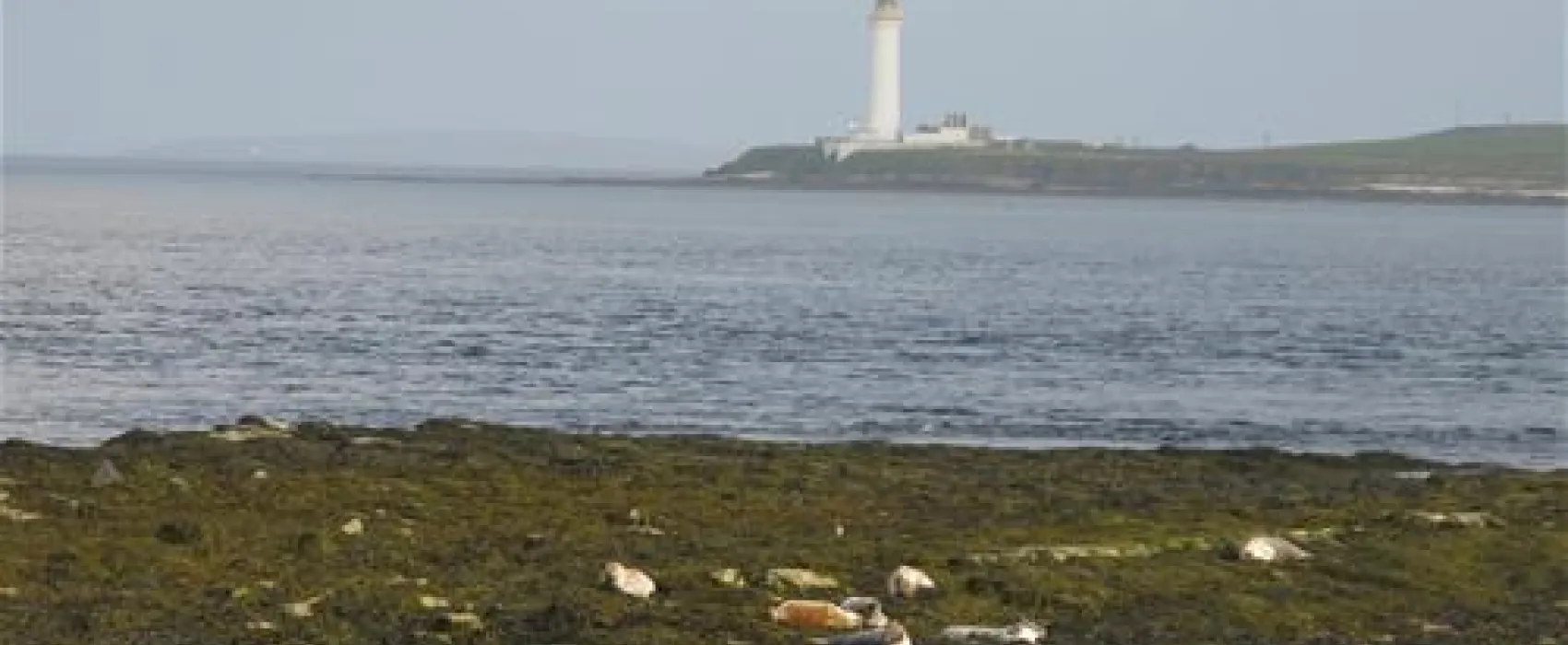 Point of Ness Caravan and Camping