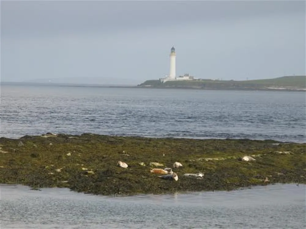 Point of Ness Caravan and Camping