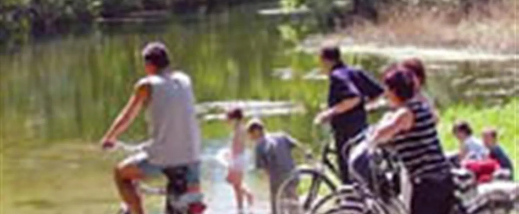 Kampeerbos De Simonshoek