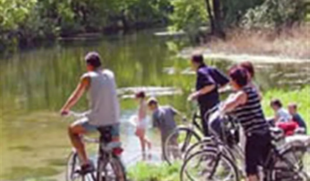 Kampeerbos De Simonshoek