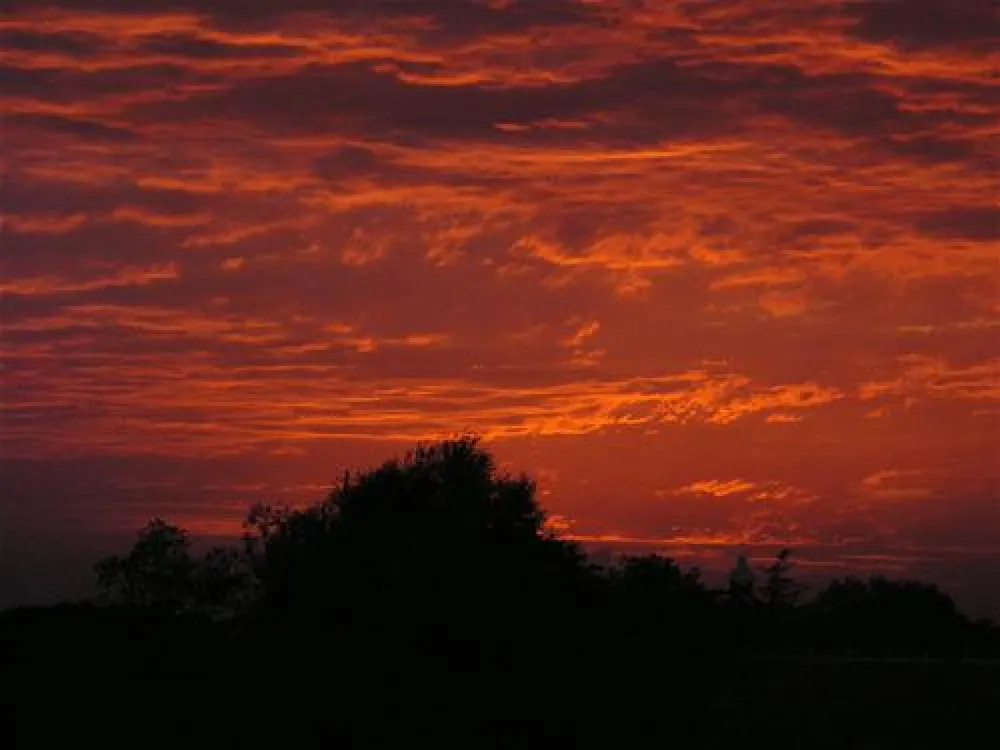 Batcombe Vale Campsite