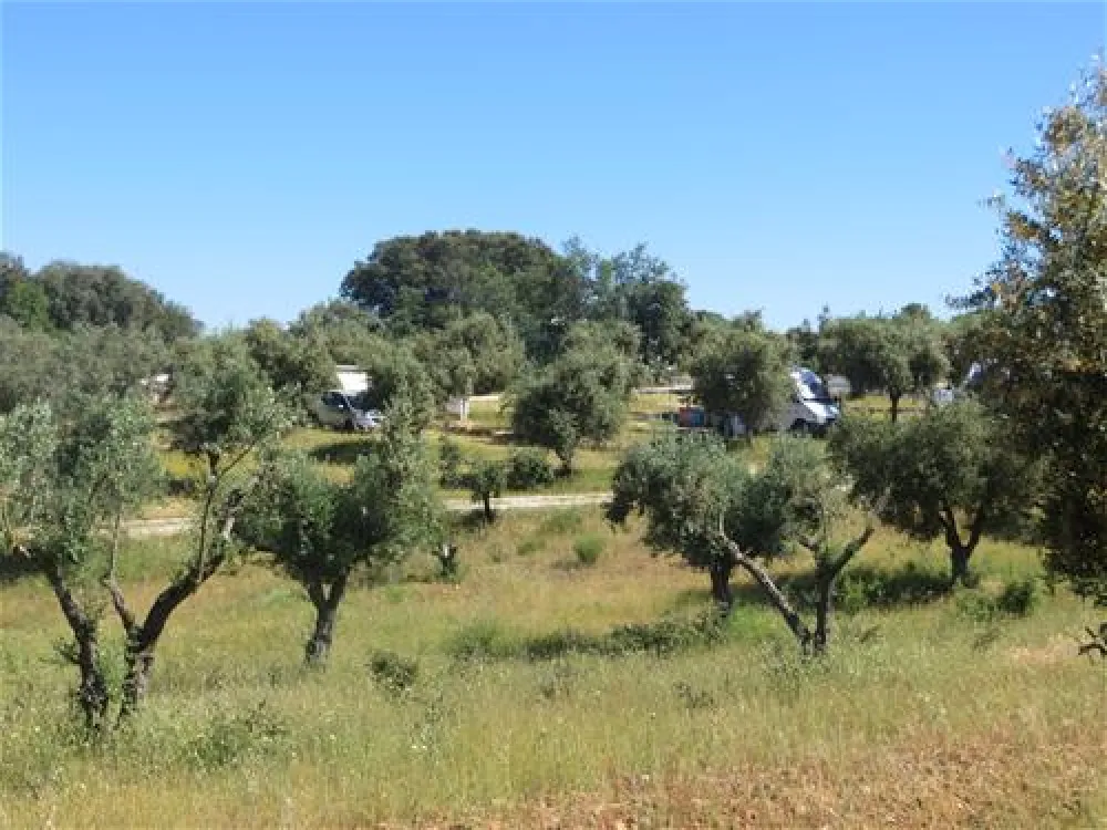 Camping Rosário