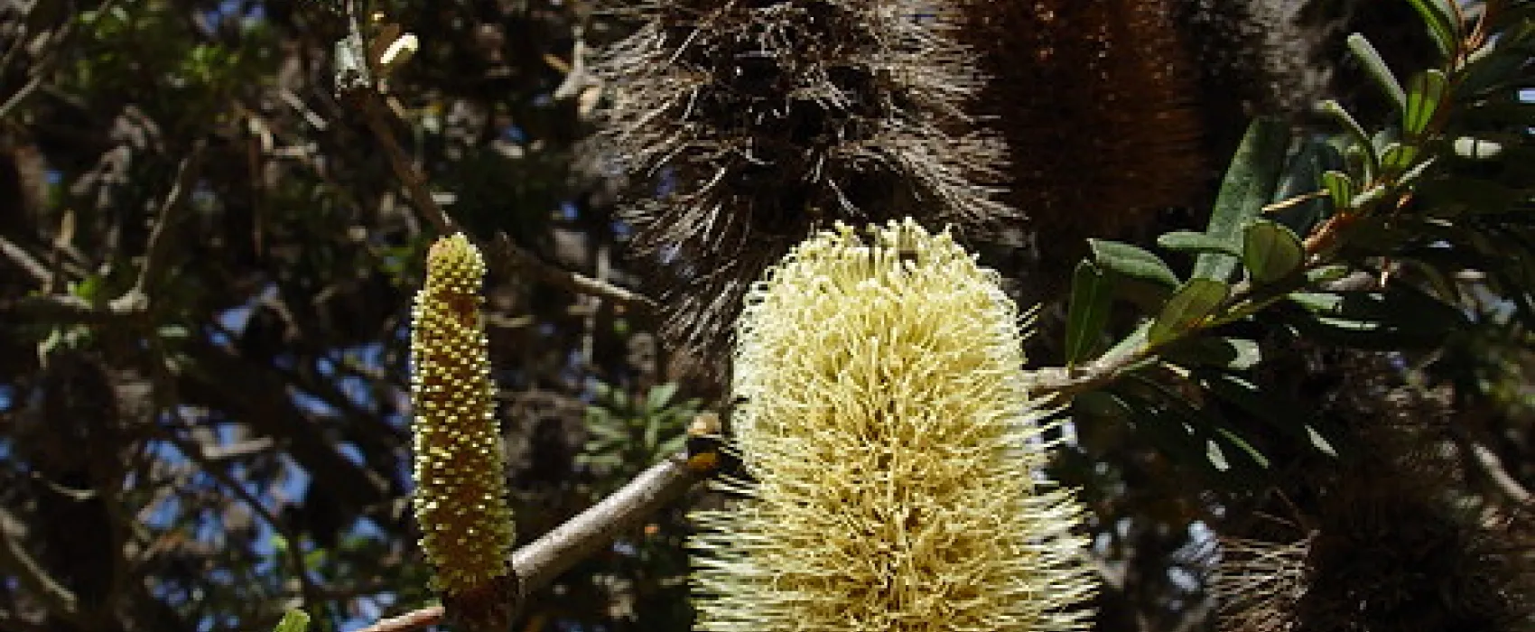 Lagoons Beach Campground