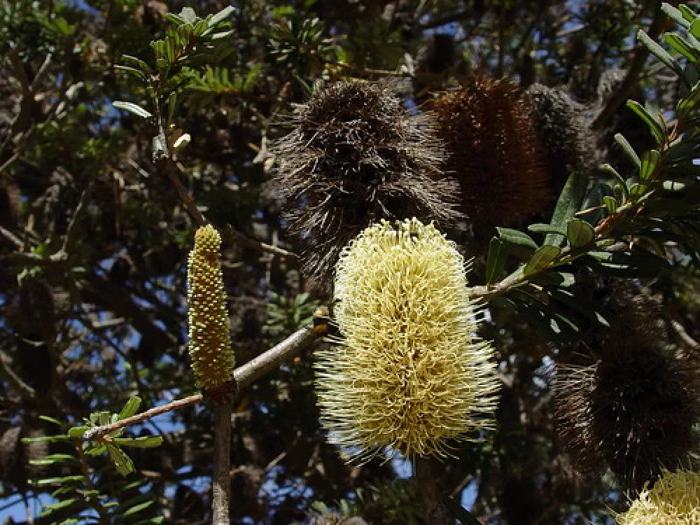 Lagoons Beach Campground
