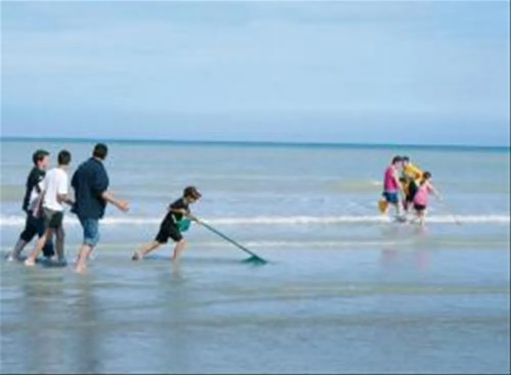 Flower Camping - Domaine du Rompval