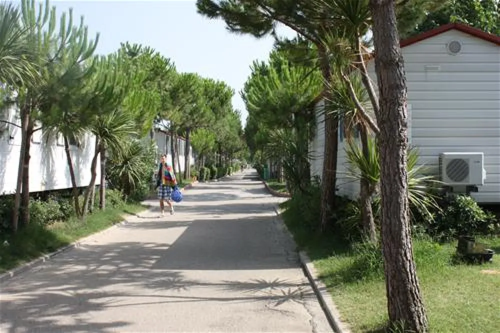 Campeggio Riva Nuova