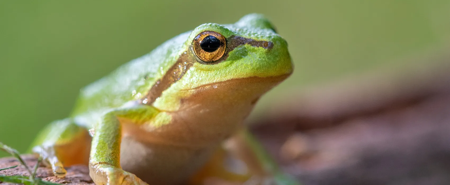 Natuurcamping De Hoogte