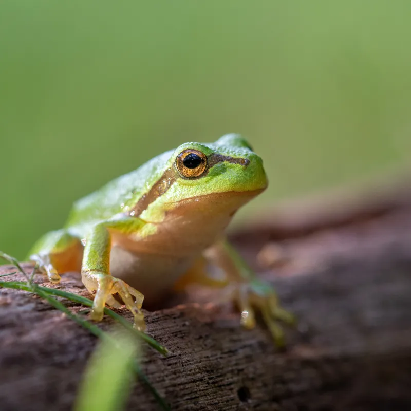 Natuurcamping De Hoogte
