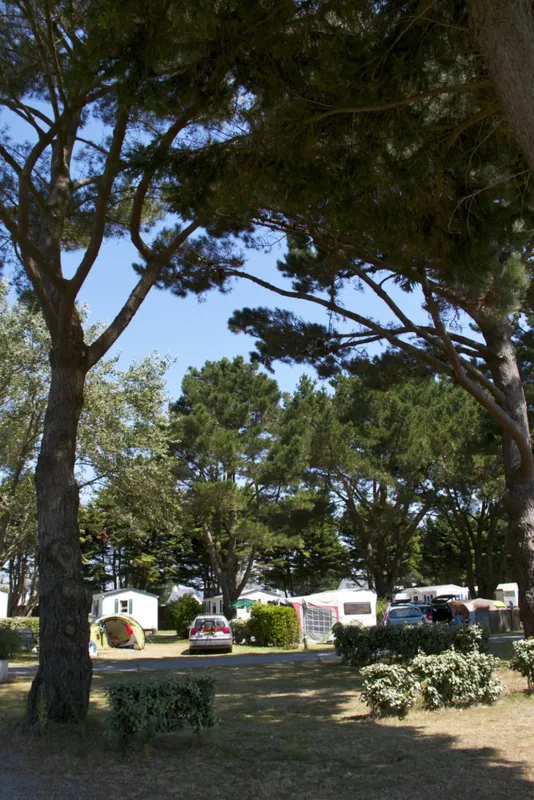 Camping Park er Lann