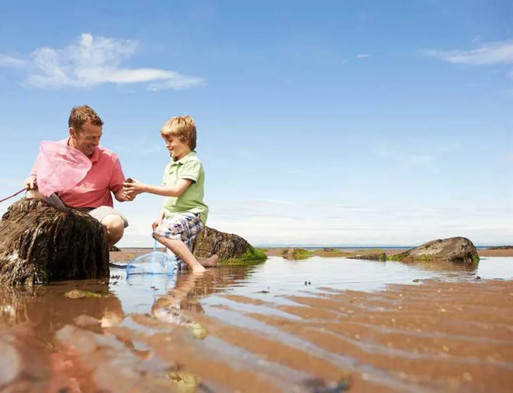 Seton Sands Holiday Village