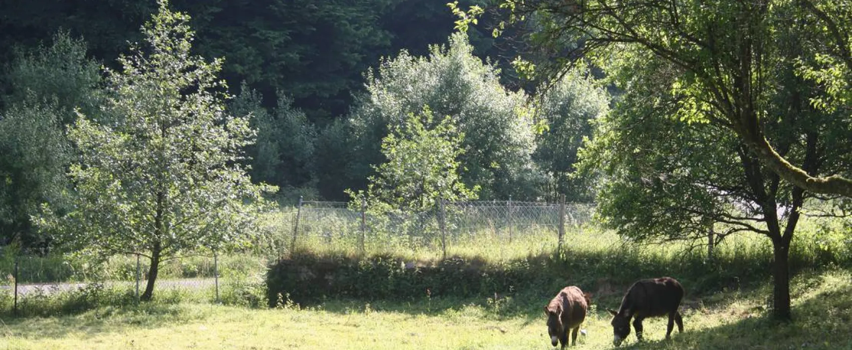 Densborner Wassermühle