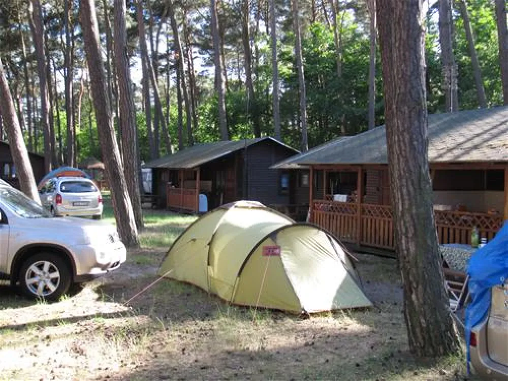 Camping Wiking