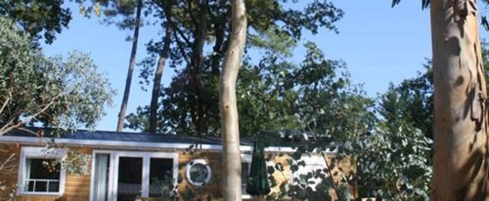 Flower Camping des Pins