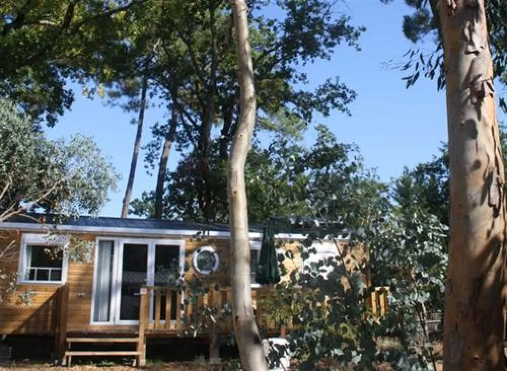 Flower Camping des Pins