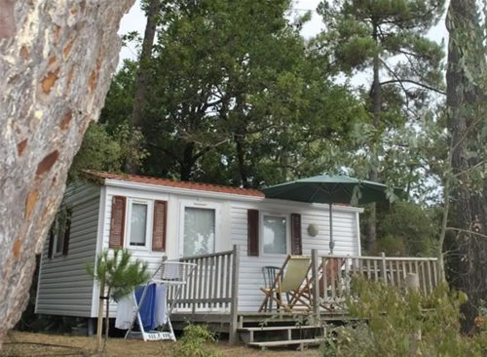 Flower Camping des Pins