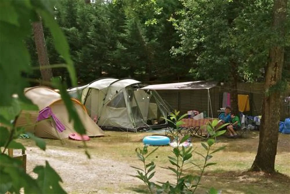 Flower Camping des Pins