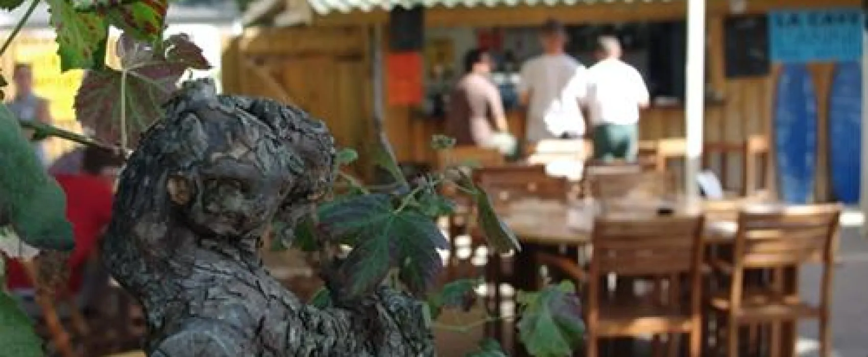 Flower Camping des Pins