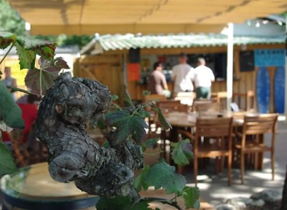 Flower Camping des Pins