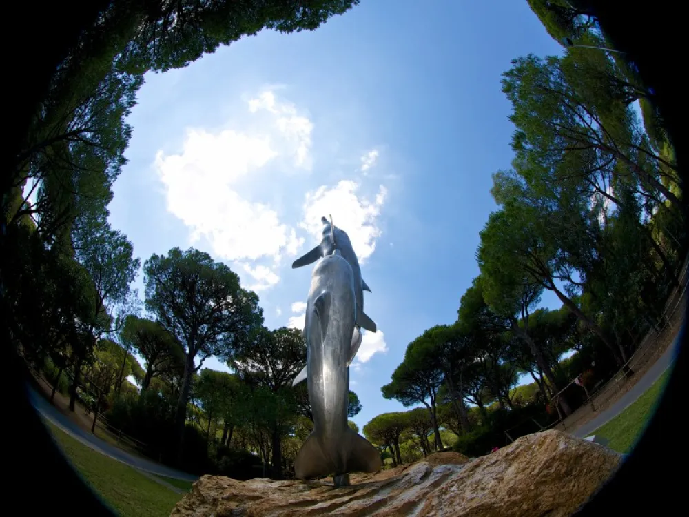 Cieloverde Camping Village