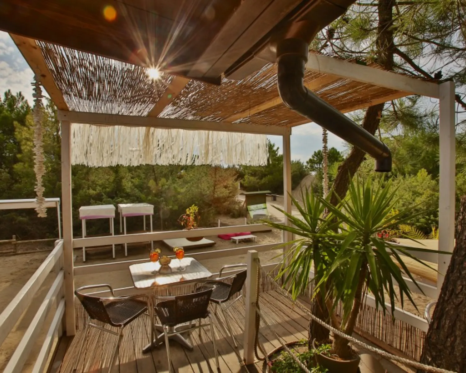 Cieloverde Camping Village in Italien - Spottocamp - Spottocamp