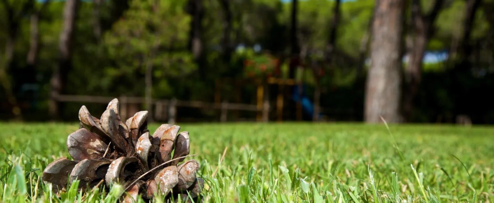 Cieloverde Camping Village