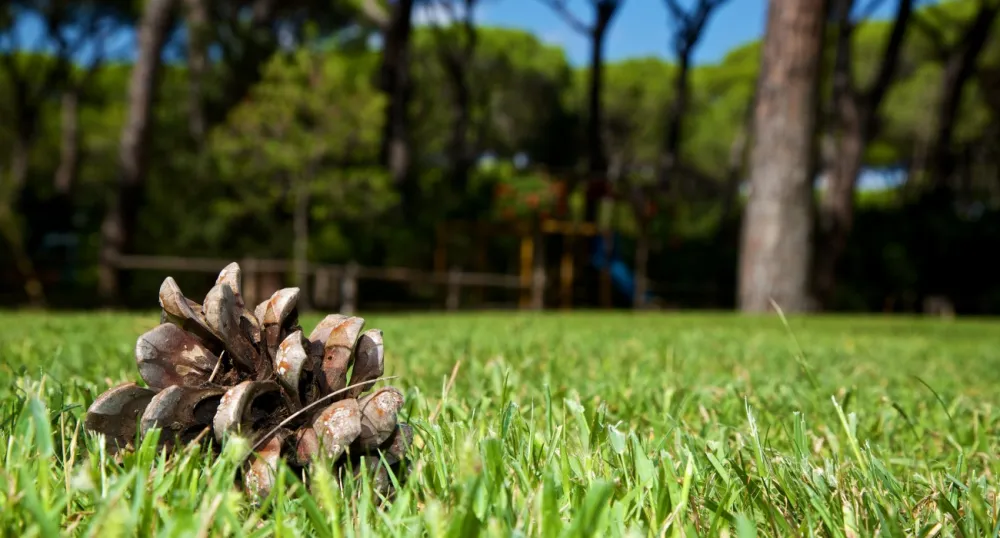 Cieloverde Camping Village