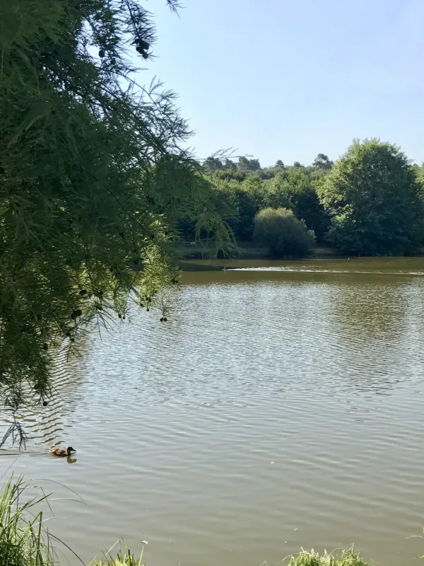 Domaine Le Moulinal Camping France Loc  