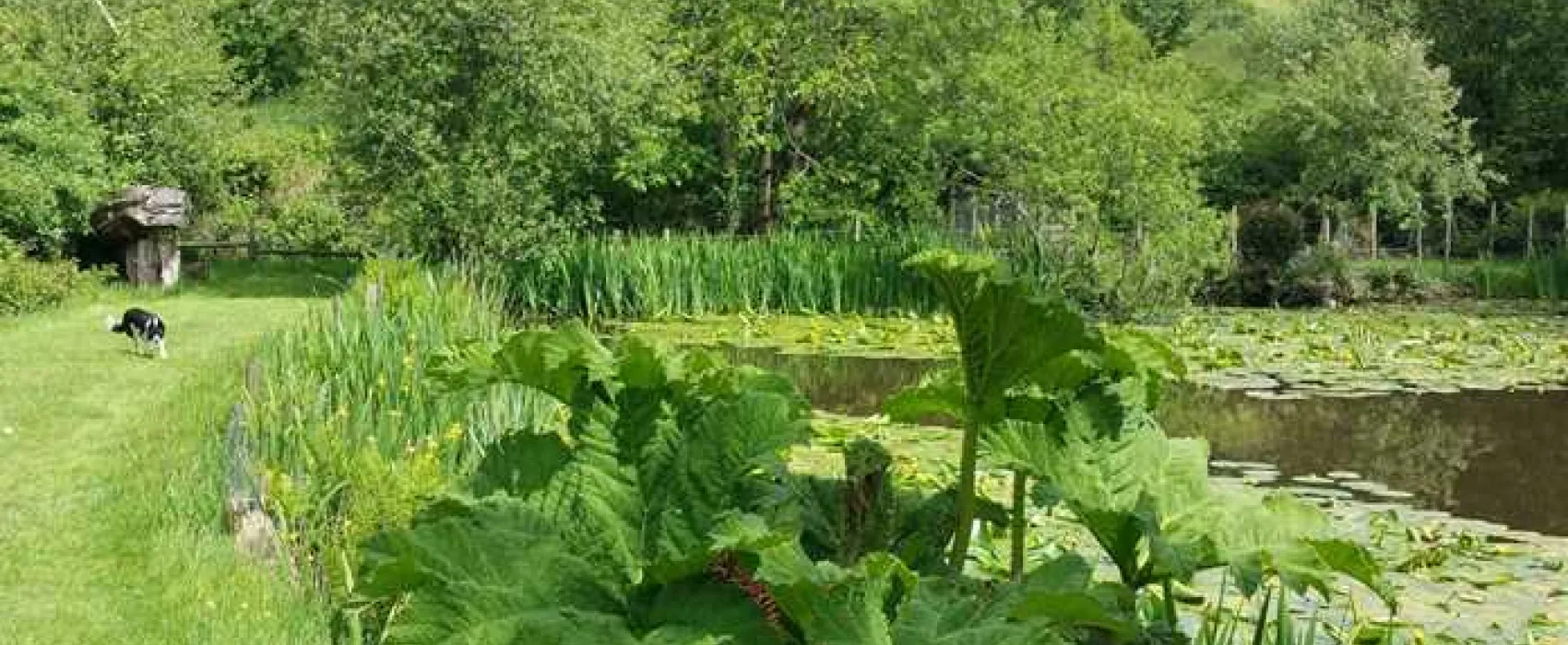 Dolbryn Caravan and Campsite