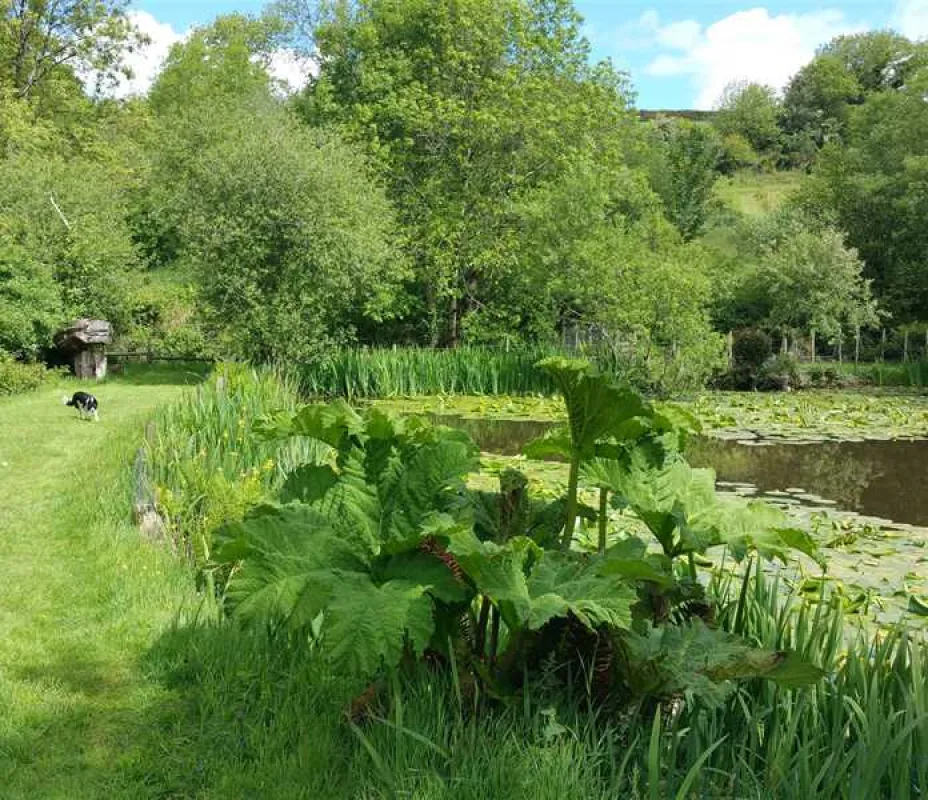 Dolbryn Caravan and Campsite