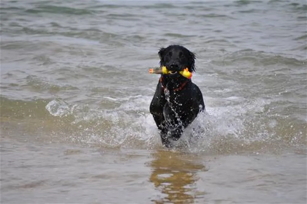 Camping Village Terrazza sul Mare