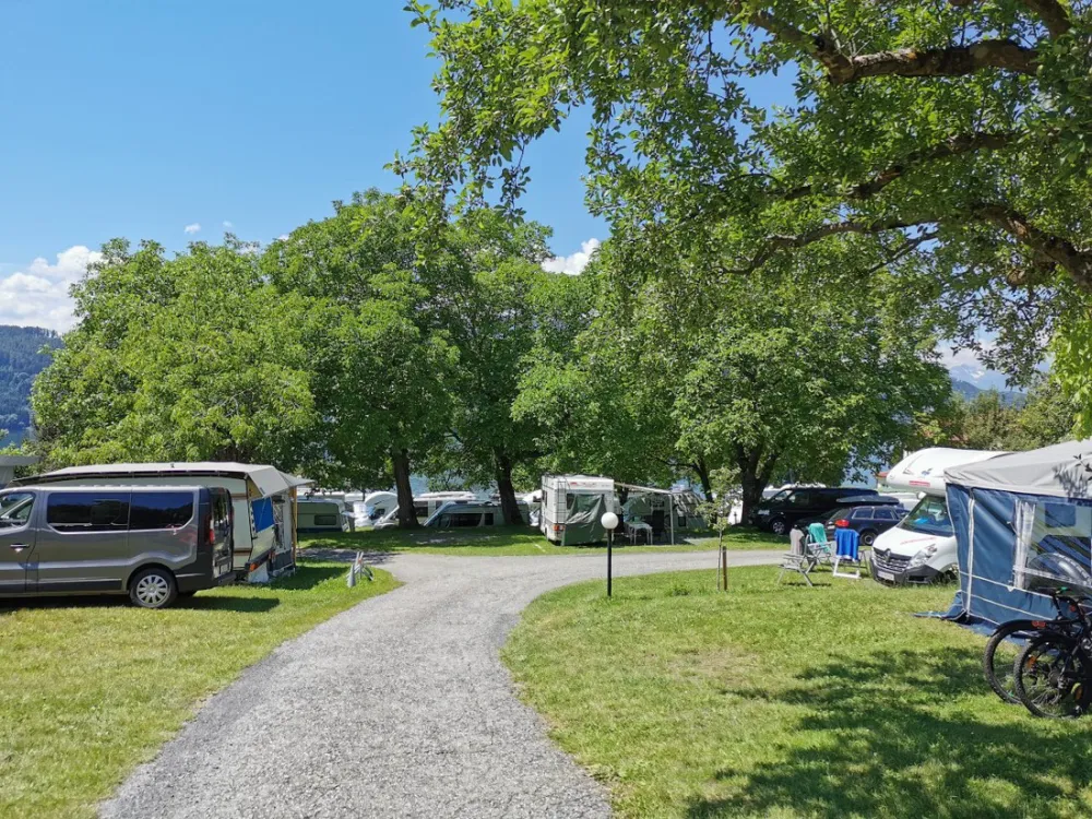 Camping Neubauer