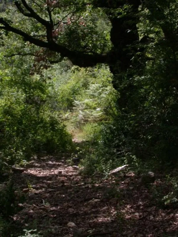 Camping Naturistes Domaine de Lambeyran  