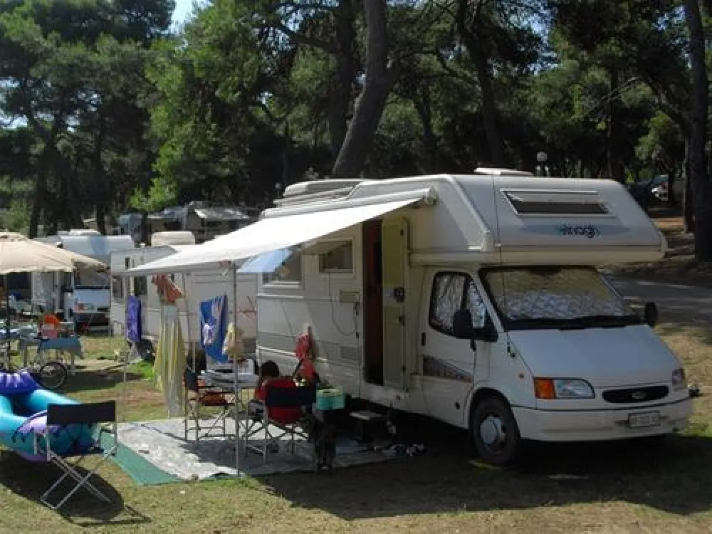 Camping Stoja